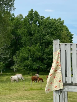 Djerf Avenue Koksforklade Frukt Discount