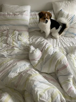 Djerf Avenue Paslakan Summer Rainbow Clearance